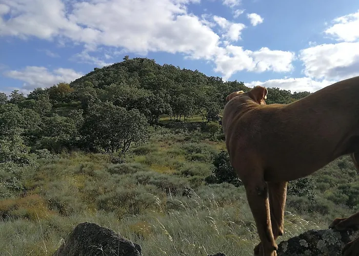 Glorias Отель 2*